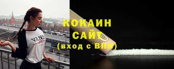 шишки Балахна
